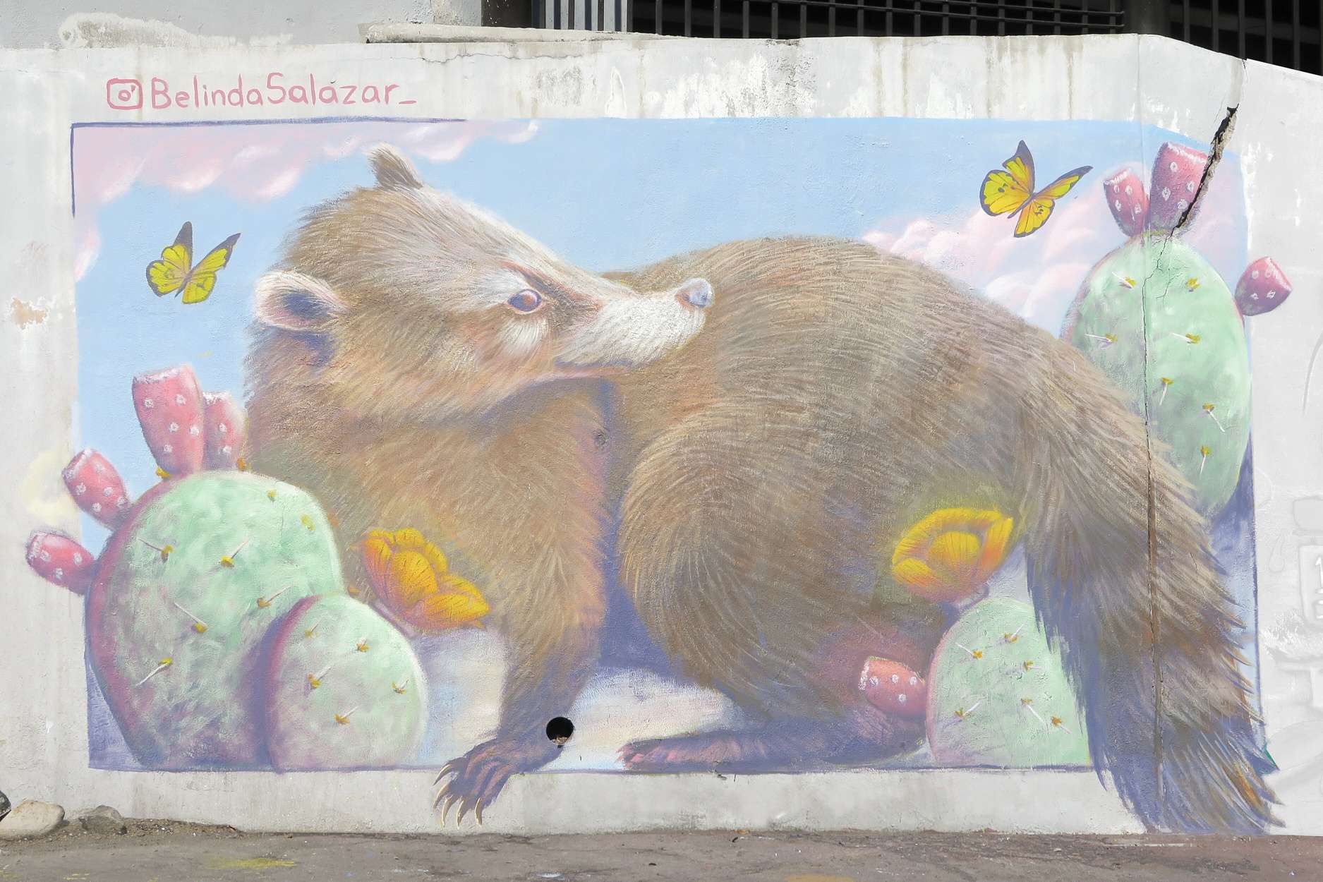 Mural de un coatí entre nopales pintado por Belinda Salazar para la Secretaría del Medio Ambiente de Nuevo León