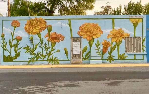 Mural de flores de cempasúchil a gran escala pintado por Belinda Salazar en el Festival de murales de Pesquería